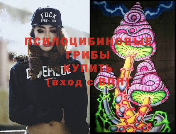 гашик Баксан