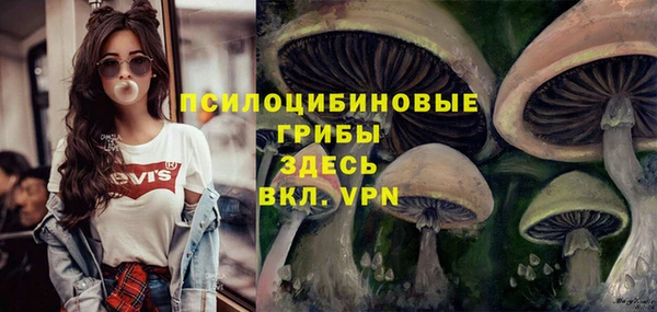 гашик Баксан