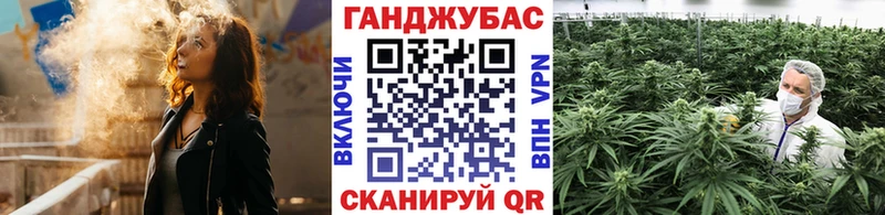 Шишки марихуана семена  Короча 